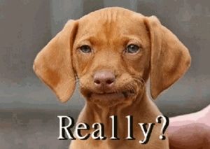 Meet your Posher, Derrick